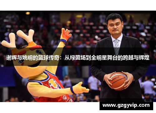 谢晖与姚明的篮球传奇：从绿茵场到全明星舞台的跨越与辉煌