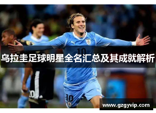 乌拉圭足球明星全名汇总及其成就解析