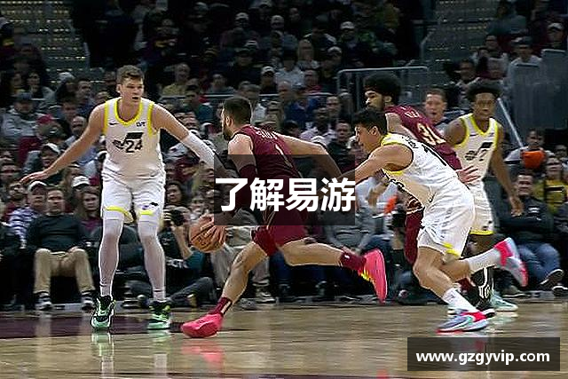 了解易游